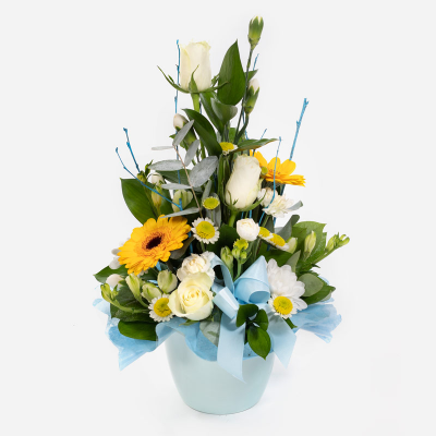 Baby Boy Pot  - A floral creation for the new addition, made up of blooms in shades of yellow and white. Container may vary
