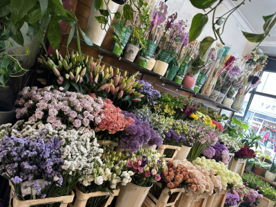 Florist Choice Product Image